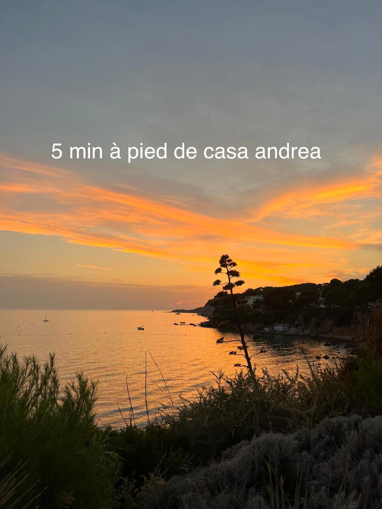 Casa Andrea Appartement Tout A Pied Avec Grand Jardin Sanary-sur-Mer Eksteriør billede